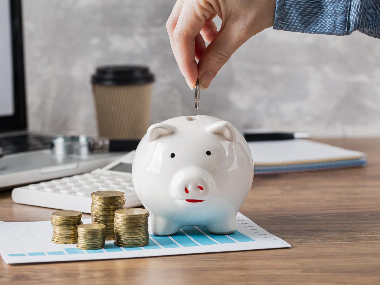 https://juarait.locx.in/wp-content/uploads/2024/02/hand-putting-coin-piggy-bank-growth-chart-1280x960.jpg
